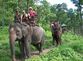 Vé máy bay Hà Nội Buôn Mê Thuột